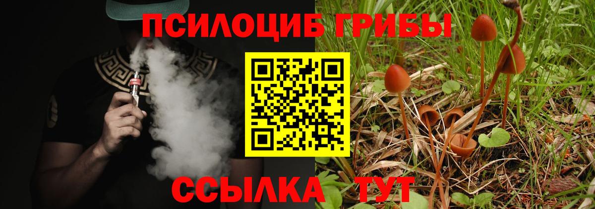 Саки  Галлюциногенные грибы ЛСД  Вход с VPN 