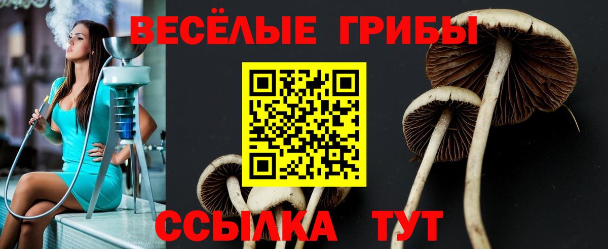 Псилоцибиновые грибы GOLDEN TEACHER Саки